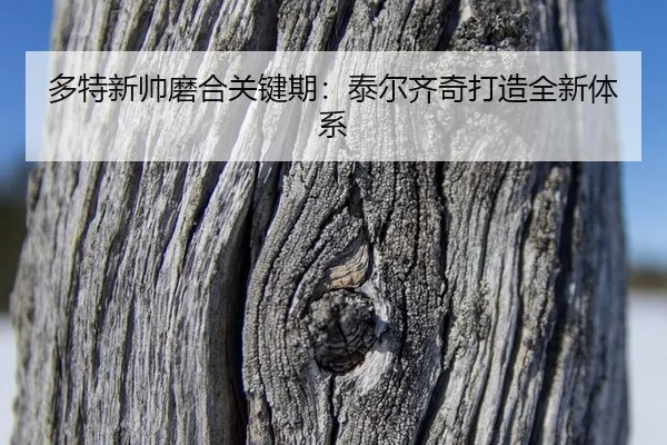duo-te-xin-shuai-mo-he-guan-jian-qi-tai-er-qi-qi-da-zao-quan-xin-ti-xi-2-666.jpg